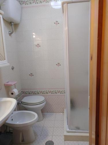 a bathroom with a toilet and a shower at Pescocostanzo Centro in Pescocostanzo