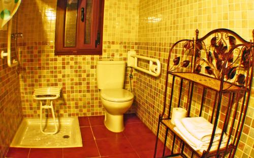 y baño pequeño con aseo y ducha. en Apartamentos Rurales La Vega del Jerte, en Jerte