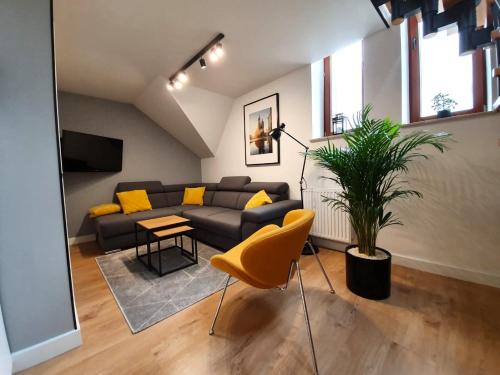 a living room with a couch and a plant at Rister Apartments Dwernickiego in Krakow