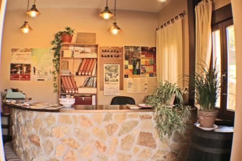 a restaurant with a stone counter and potted plants at Apartamentos Rurales La Vega del Jerte in Jerte