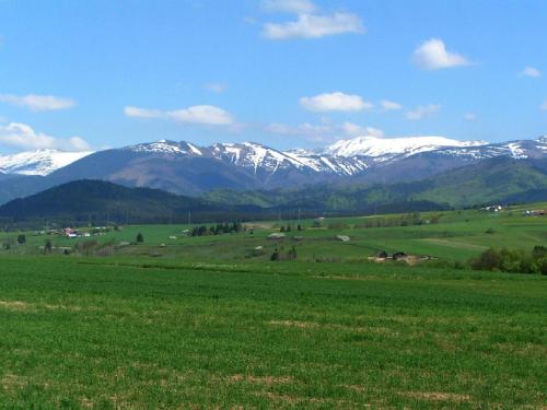 a green field with snow capped mountains in the background at Apartment at Sedliacky Dvor - Brezno in Brezno