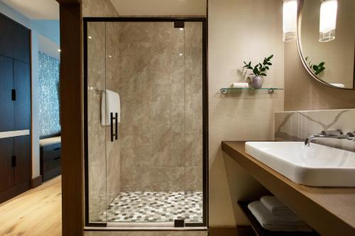 a bathroom with a shower and a sink at Kimpton Hotel Arras by IHG in Asheville
