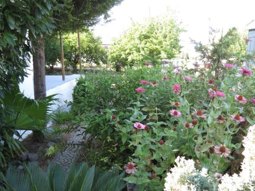 un giardino con fiori rosa su un marciapiede di Leventis Apartments a Rovies