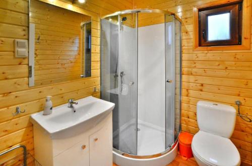 a bathroom with a shower and a sink and a toilet at Domki letniskowe Chabrowa 1 in Sianozety