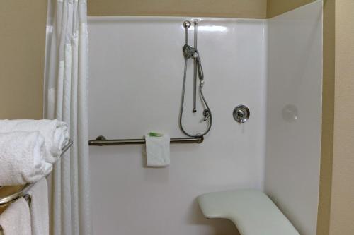 a bathroom with a shower and a toilet at Holiday Inn Express Hotel & Suites Huntsville by IHG in Huntsville