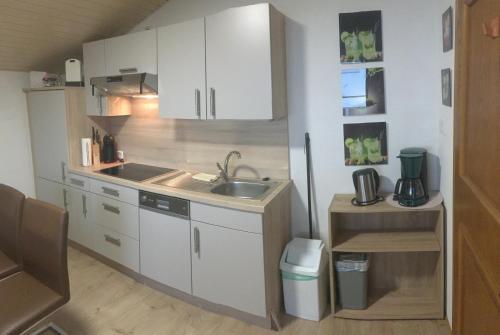 eine kleine Küche mit Spüle und Kühlschrank in der Unterkunft Appartement Straninger am Achensee in Maurach