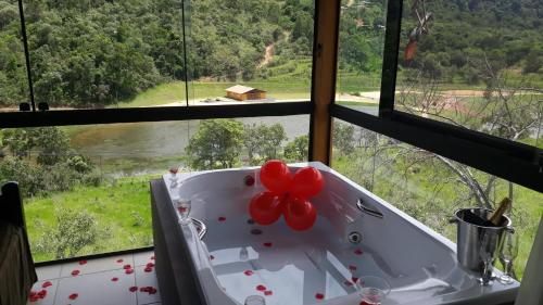 a bath tub with a red flower on it in front of a window at Refúgio Serra Negra in Serra Negra