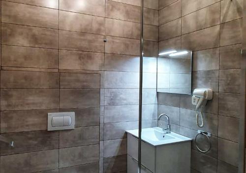 a bathroom with a sink and a shower at Casa Domnească Rarau in Câmpulung Moldovenesc
