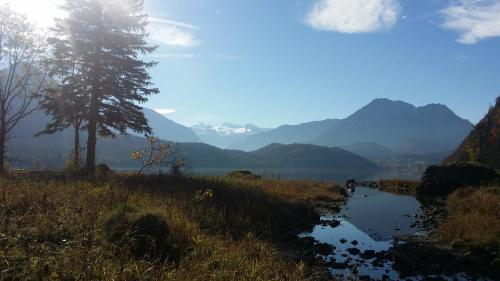 Un paisaje natural cerca de la casa de huéspedes
