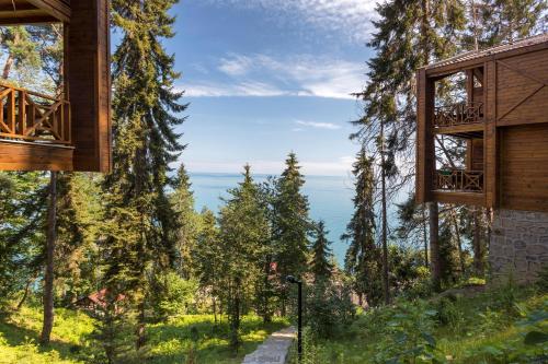 a tree house with a view of the ocean at Hancioglu Orman Evleri & Hotel in Trabzon