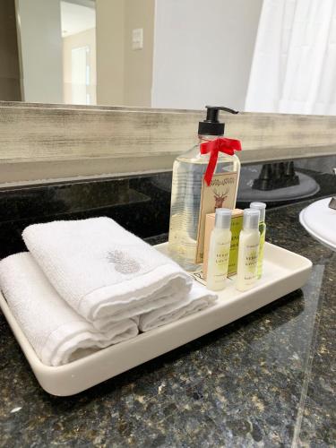 a bathroom counter with towels and a bottle of soap at Spacious 2BR&2BA Med Center APT, Free parking&shuttle in Houston
