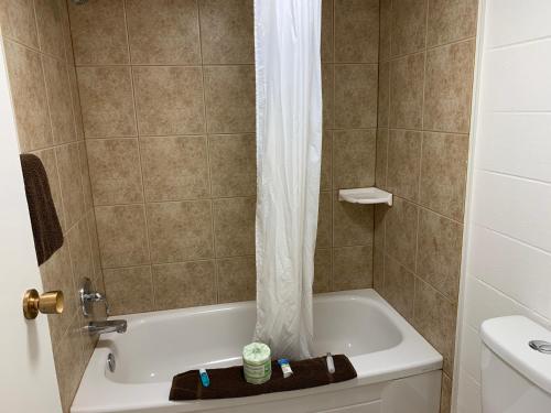 a bathroom with a shower with a tub and a sink at Westport Inn in Grande Prairie