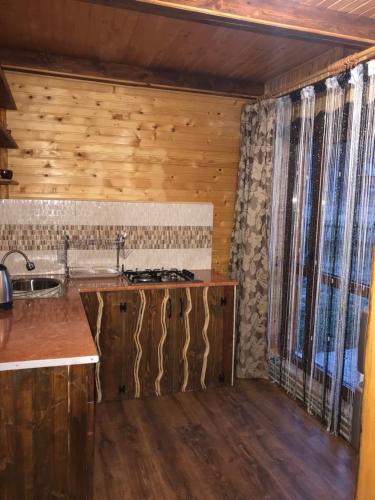 eine Küche mit einer Spüle und einer Arbeitsplatte in der Unterkunft Kozarik in Mykulytschyn