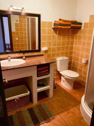 a bathroom with a sink and a toilet and a mirror at Casandalusí in Frigiliana