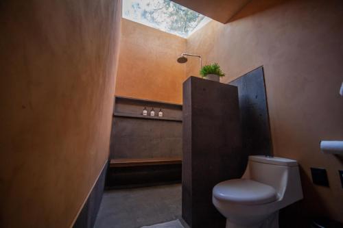 baño con aseo y ducha con tragaluz en Cabaña de lujo moderna con Alberca climatizada Mazamitla bosque 1 en Mazamitla