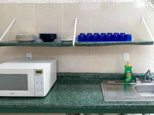 a kitchen counter with a microwave and a sink at La Casa del Expositor in Guadalajara