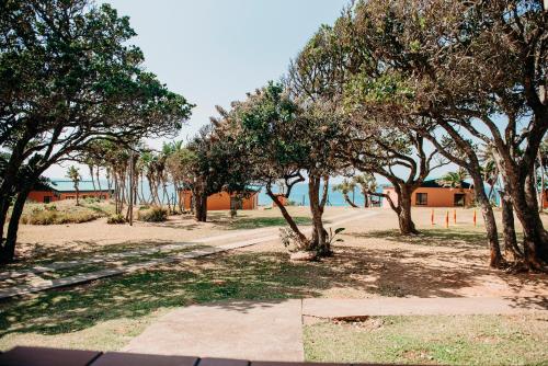 a group of trees in a park with a building at Port Edward Holiday Resort in Port Edward