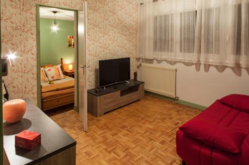 un salon avec un canapé rouge et une télévision dans l'établissement Chambres d'hôtes Domaine des Iris, à Anould