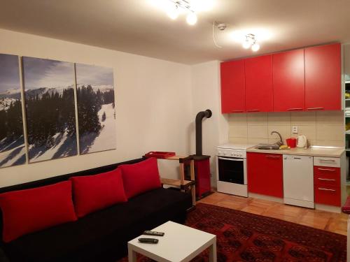 Kuhinja ili čajna kuhinja u objektu Studio Adrian