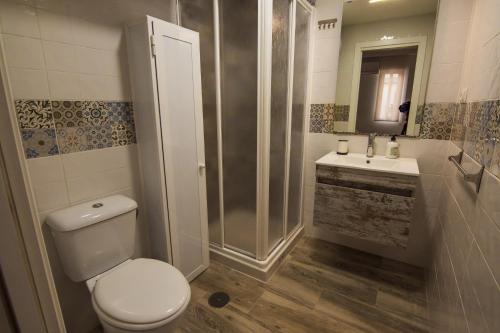 W łazience znajduje się toaleta, prysznic i umywalka. w obiekcie Mirador de Ronda 1 w mieście Ronda