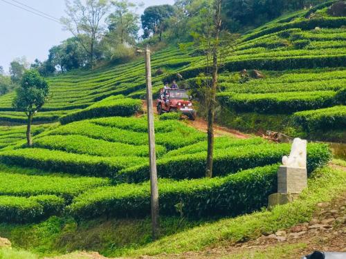 a red truck driving through a green tea plantation at Rock Hut Tabor Hills Resort Vagamon in Vagamon