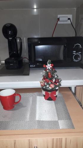 Kuchyň nebo kuchyňský kout v ubytování Studio Hana