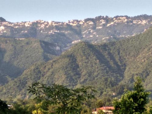 auliculiculiculiculiculiculiculiculiculiculiculiculiculiculic at Oxygen Homestay-A Blissful Retreat in Dehradun