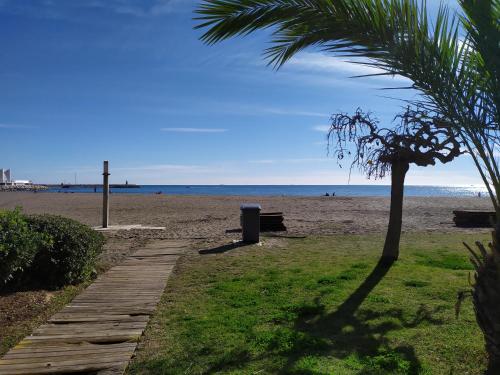 un palmier et un chemin en bois menant à la plage dans l'établissement Benalmádena Piscis Sun & Beach, à Benalmádena