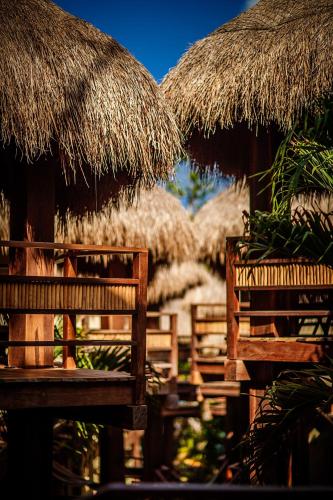 a group of straw umbrellas and benches in a resort at Hotel Carolina Bacalar in Bacalar