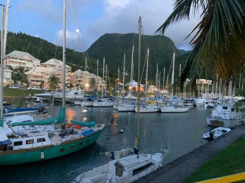 a bunch of boats docked in a harbor at Chez Ena la fibre internet et le calme in Saint-Claude