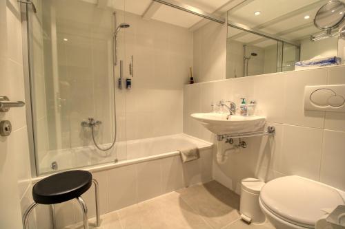 ツェルマットにあるChalet Abacusのバスルーム(洗面台、トイレ、シャワー付)