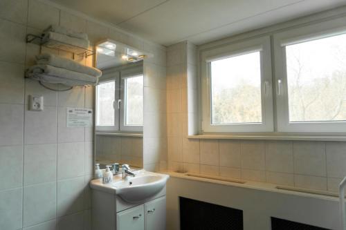 a bathroom with a sink and a window at Pension Auberge de Dael in Valkenburg