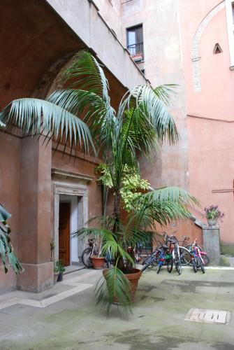 a palm tree in front of a building at Palazzo Velli Suites in Rome