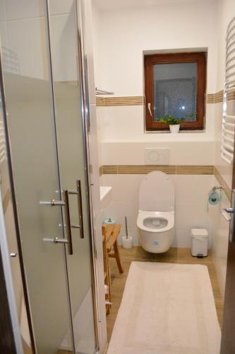 a small bathroom with a toilet and a window at Apartment Ivkadan in Bad Aussee