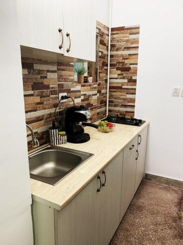 a kitchen with a sink and a counter top at Villa Bogdan in Agigea