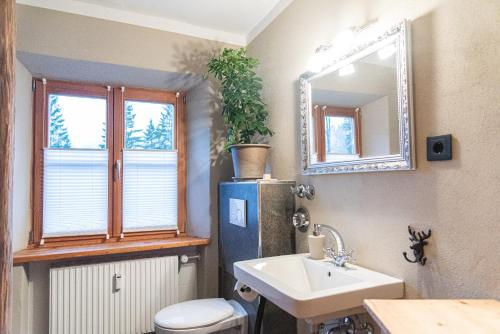 a bathroom with a sink and a toilet and a mirror at Gipfelkönig in Bayrischzell