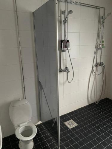 a shower stall with a toilet in a bathroom at Villa Saimaan Sydän in Puumala