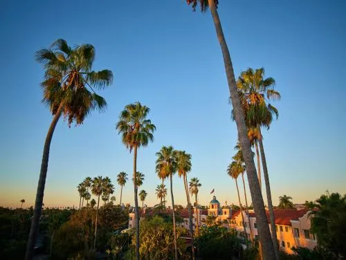 The Beverly Hills Hotel - Dorchester Collection photo 7