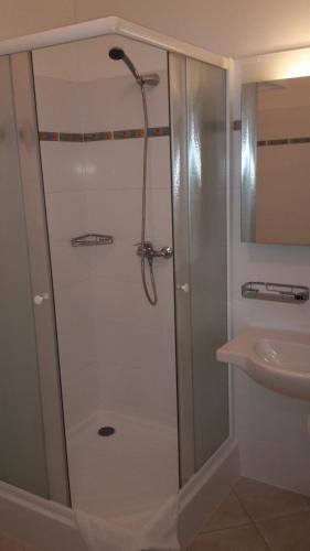 a shower with a glass door next to a sink at CORNER HOTEL U DIVADLA*** - ZNOJMO in Znojmo