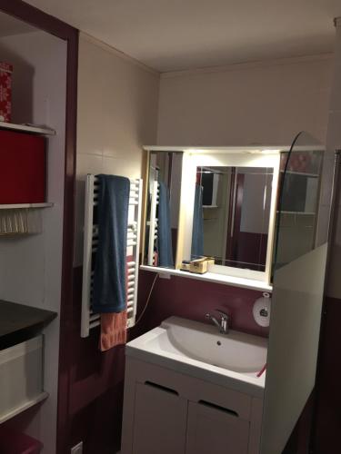 a bathroom with a sink and a mirror at AU PIED DU VERCORS TOUT EST PERMIS in La Rivière