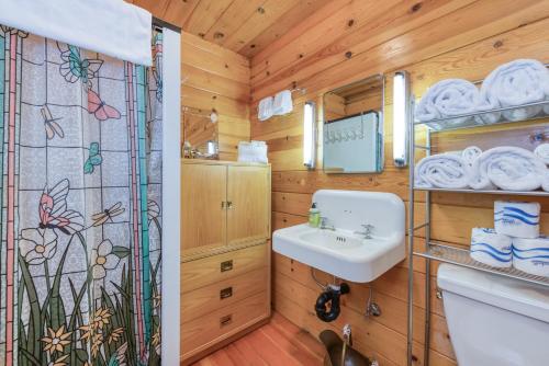a bathroom with a sink and a shower curtain at Elevation Station in Shaver Lake