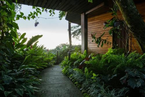 a garden path next to a building with plants at Lucero Golf and Country Club Tree Houses in Boquete