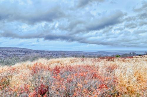 Northridge 2210 – Photos 3