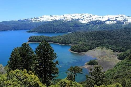 a view of a lake with trees and snow covered mountains at Depto primera línea de playa para 5 personas in Villarrica