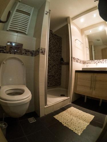 Koupelna v ubytování Apartman Brvenik 103, Konaci, Kopaonik