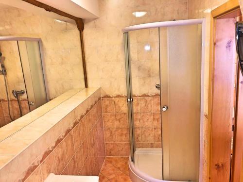 a bathroom with a shower and a walk in shower at Kubovka 63 in Kubova Huť