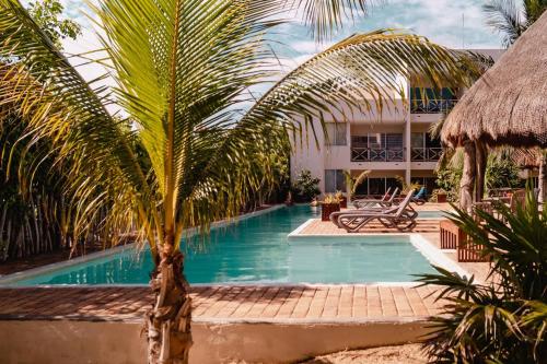 Luxury Condo, the hidden gem Playa Chacá. Live it!, Progreso (updated ...