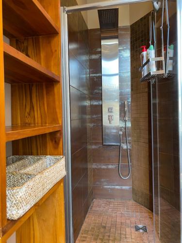 une douche avec une porte vitrée dans une salle de bain dans l'établissement Romance au coeur de Bordeaux / Jardin Public, à Bordeaux