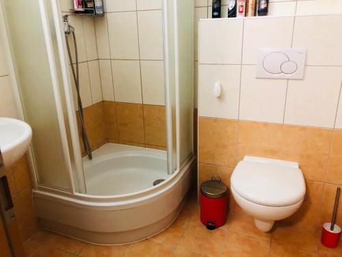 a bathroom with a shower and a toilet and a sink at Flat 123 ubytování pod sjezdovkou - Adults only in Deštné v Orlických horách