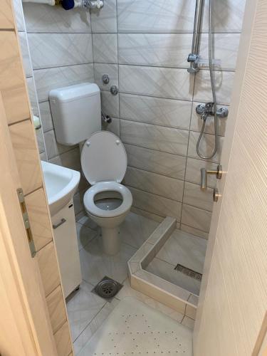 La petite salle de bains est pourvue d'une douche et de toilettes. dans l'établissement Apartment M, à Višegrad